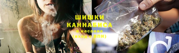 стафф Богородицк